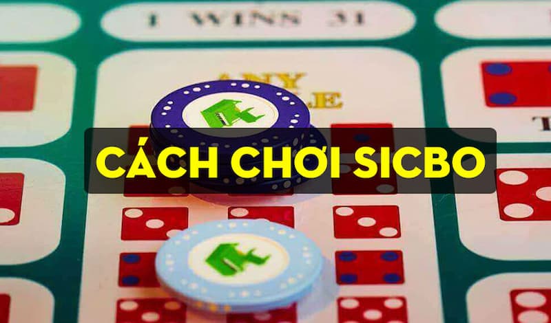 Cách thức đặt cược sicbo